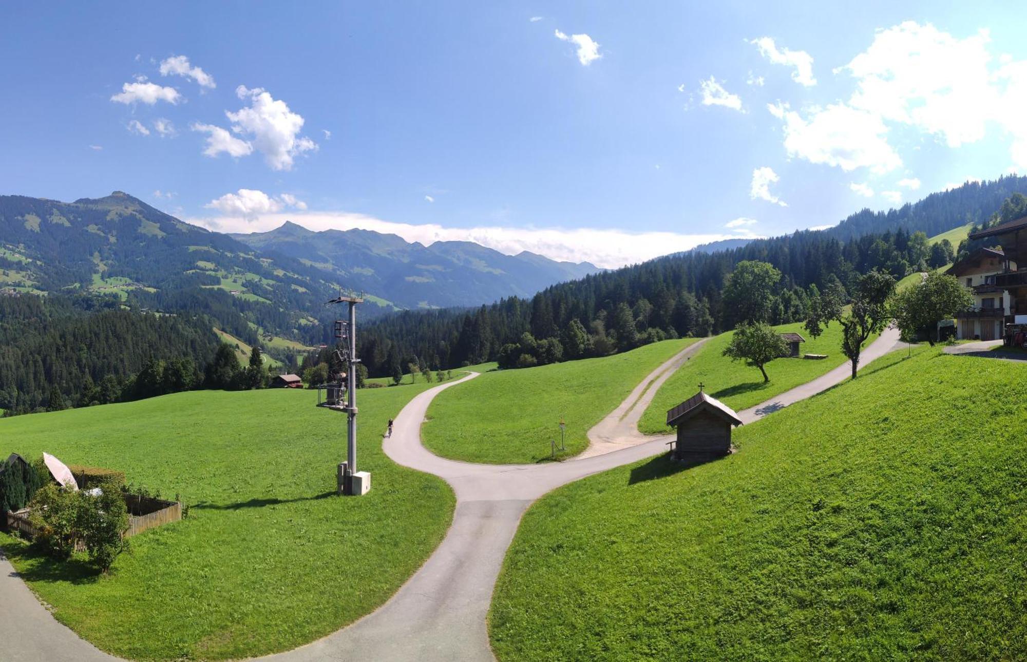 Apartmán Bartlerhof *