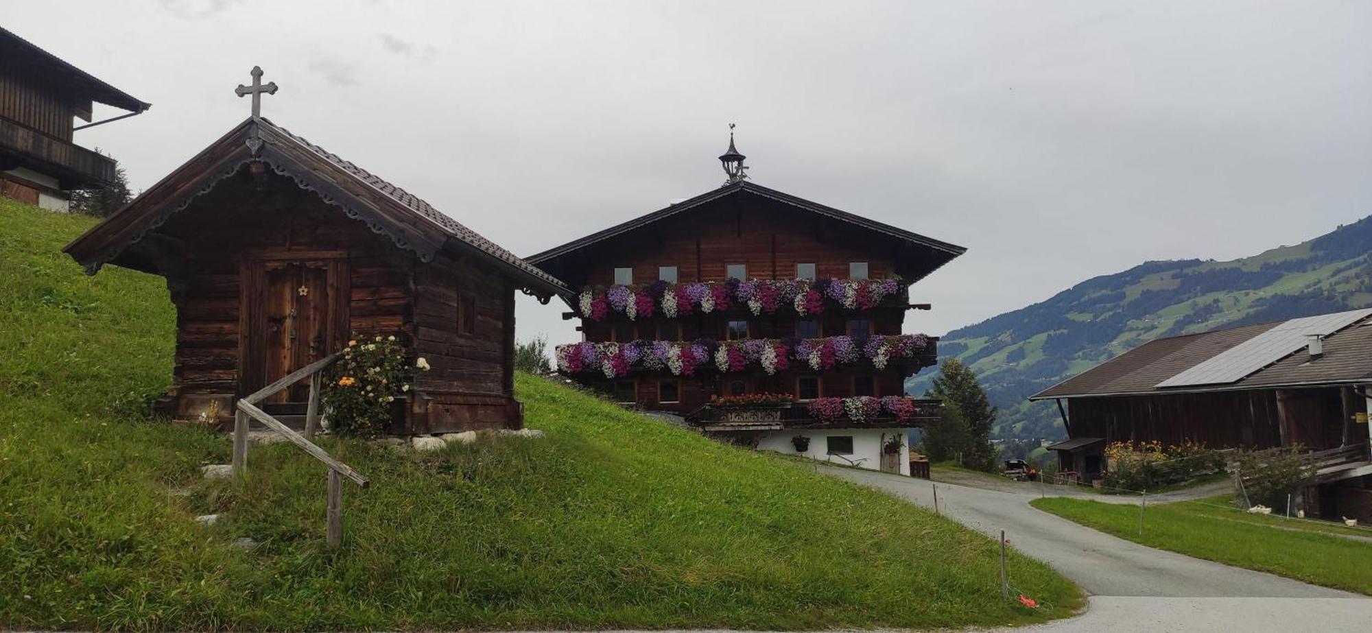 Bartlerhof Westendorf